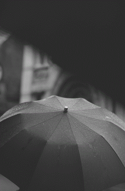 umbrella